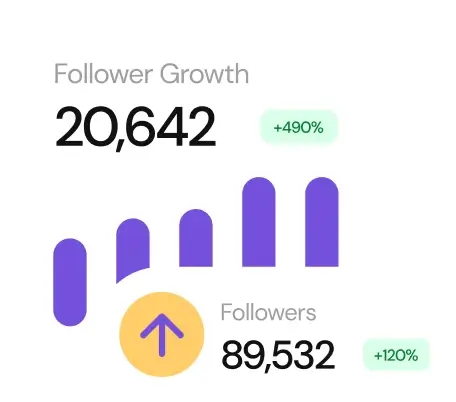 follower increase bars